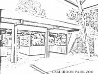 Future Plan Entering  of Cameroon Park Zoo