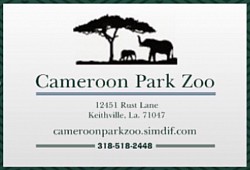 Cameroon Park Zoo Rescue Wildlife Animals